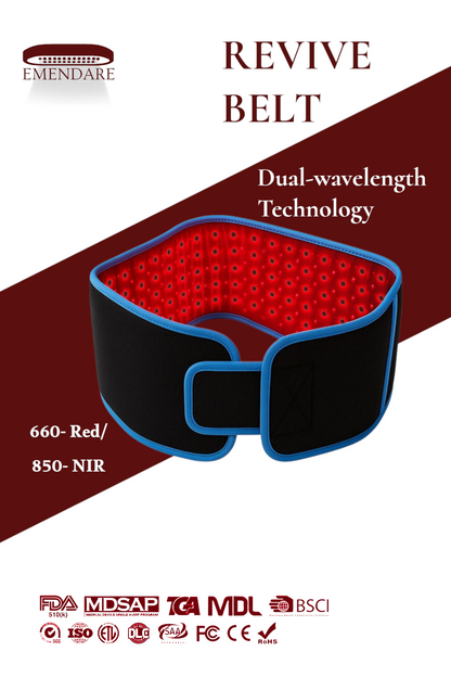 Revive Red Light Therapy Belt